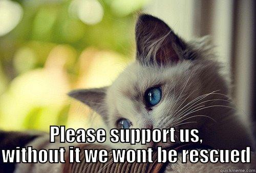 H&N Second Chance Cat Rescue -  PLEASE SUPPORT US, WITHOUT IT WE WONT BE RESCUED First World Problems Cat