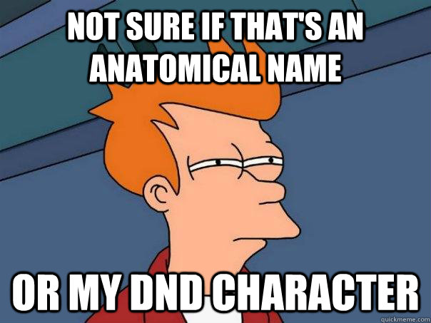 Not sure if that's an anatomical name Or my DnD character - Not sure if that's an anatomical name Or my DnD character  Futurama Fry