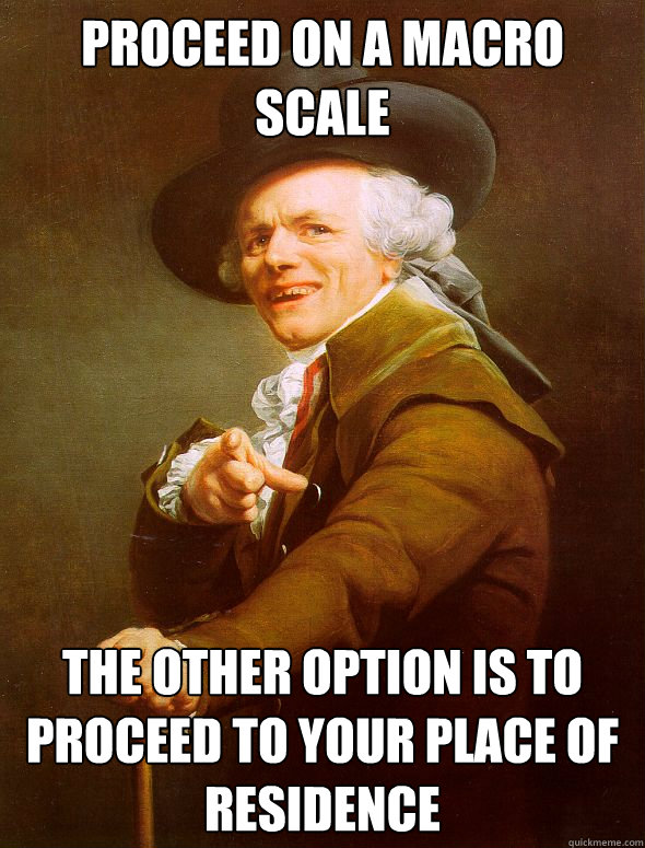 Proceed on a macro scale the other option is to proceed to your place of residence  Joseph Ducreux