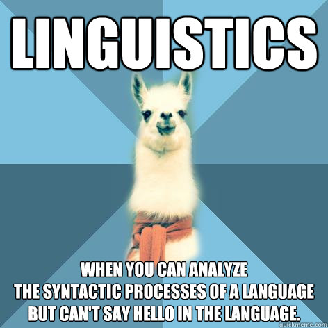 Linguistics When you can analyze
the syntactic processes of a language
but can't say hello in the language.  