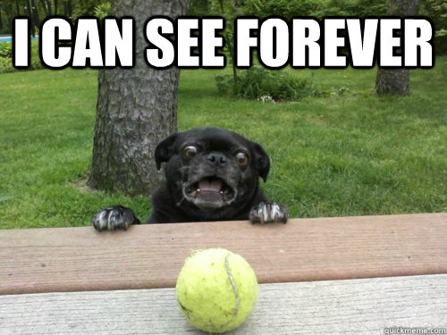 i can see forever - i can see forever  Entranced Pug