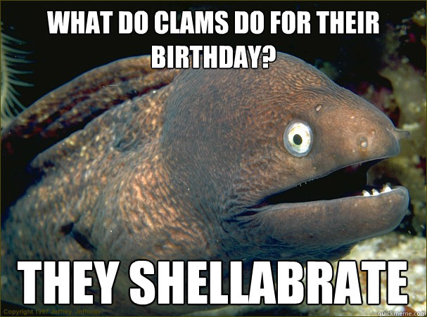 What do clams do for their birthday? They Shellabrate  Bad Joke Eel