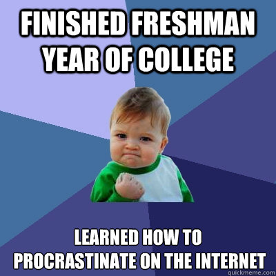 Finished freshman year of college Learned how to
 procrastinate on the internet  Success Kid