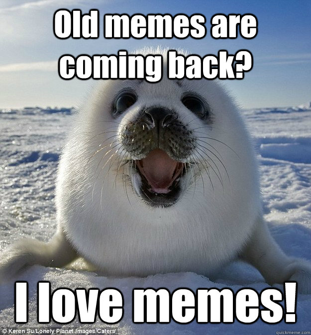 Old memes are coming back? I love memes! - Old memes are coming back? I love memes!  Easily Pleased Seal