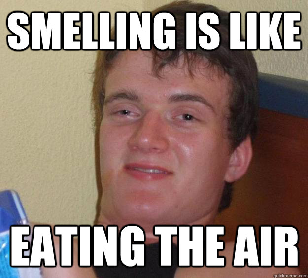 Smelling is like Eating the air - Smelling is like Eating the air  10 Guy