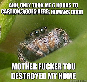 Ahh, only took me 6 hours to build a web by this humans door MOTHER FUCKER YOU DESTROYED MY HOME  Caption 3 goes here  Misunderstood Spider