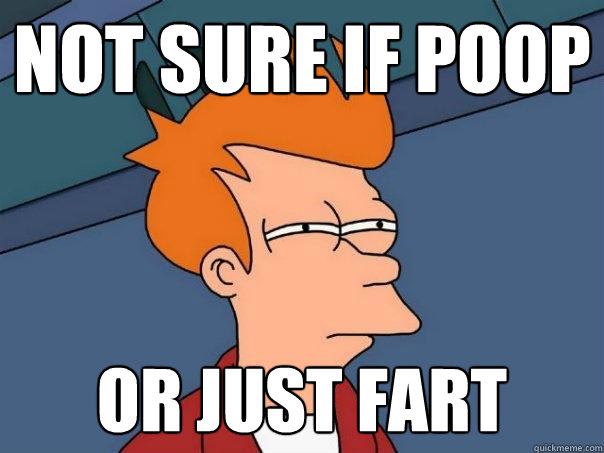 not sure if poop or just fart  Futurama Fry