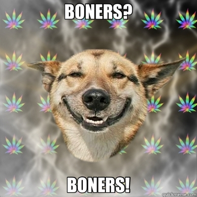 BONERS? BONERS!  Stoner Dog