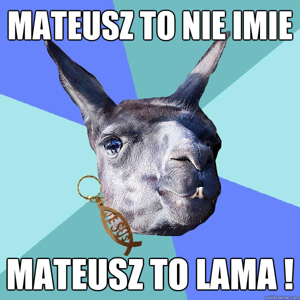 Mateusz to nie imie Mateusz to lama !  Christian Mama Llama