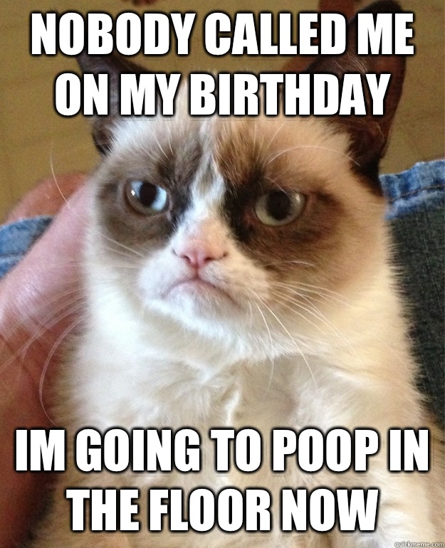 Nobody called me on my birthday Im going to poop in the floor now  mean cat