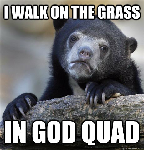 I walk on the grass in god quad  Confession Bear