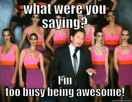 WHAT WERE YOU SAYING? I'M TOO BUSY BEING AWESOME! Misc