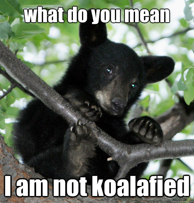 what do you mean I am not koalafied - what do you mean I am not koalafied  not koalafied