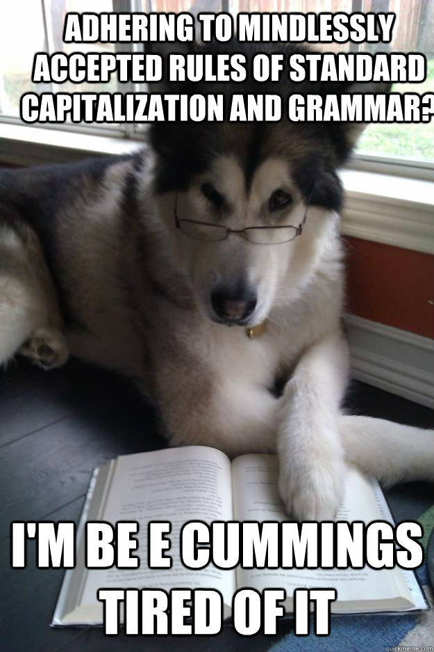 adhering to mindlessly accepted rules of Standard capitalization and grammar? i'm be e cummings tired of it  Condescending Literary Pun Dog