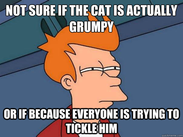 Not sure if the cat is actually grumpy or if because everyone is trying to tickle him  Futurama Fry