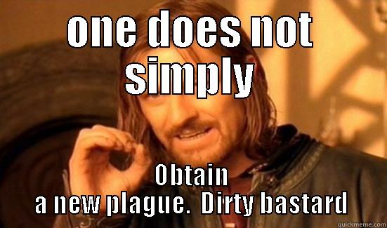 ONE DOES NOT SIMPLY OBTAIN A NEW PLAGUE.  DIRTY BASTARD Boromir