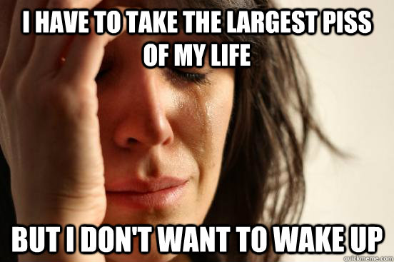 I have to take the largest piss of my life But I don't want to wake up  First World Problems