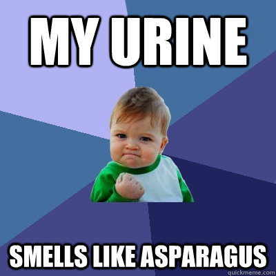 My urine smells like asparagus  Success Kid