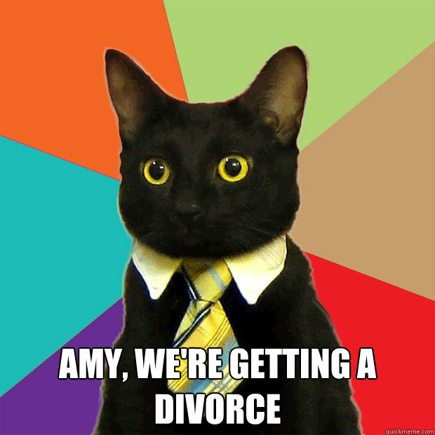  Amy, We're getting a divorce  Business Cat