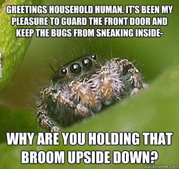 Greetings household human. It's been my pleasure to guard the front door and keep the bugs from sneaking inside- Why are you holding that broom upside down?  Misunderstood Spider