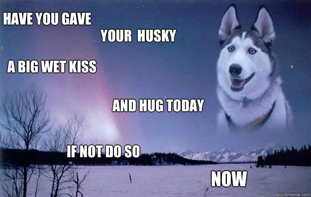  HAVE YOU GAVE  YOUR  HUSKY A BIG WET KISS  AND HUG TODAY IF NOT DO SO  NOW -  HAVE YOU GAVE  YOUR  HUSKY A BIG WET KISS  AND HUG TODAY IF NOT DO SO  NOW  Revenge Huskie