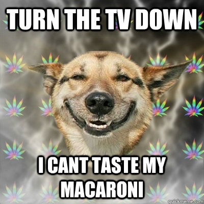 turn the tv down i cant taste my macaroni   Stoner Dog