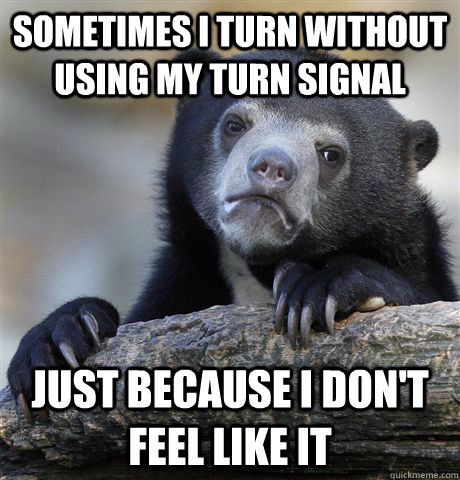 sometimes i turn without using my turn signal just because i don't feel like it  Confession Bear