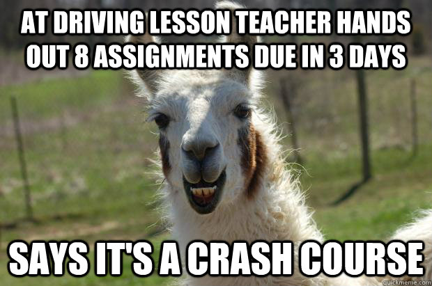 At driving lesson teacher hands out 8 assignments due in 3 days Says it's a crash course - At driving lesson teacher hands out 8 assignments due in 3 days Says it's a crash course  Lame joke llama