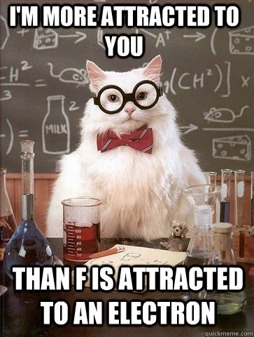 I'M MORE ATTRACTED TO YOU THAN F IS ATTRACTED TO AN ELECTRON  Chemistry Cat