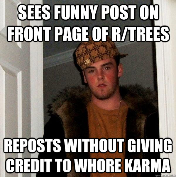 Sees funny post on front page of r/trees reposts without giving credit to whore karma  Scumbag Steve