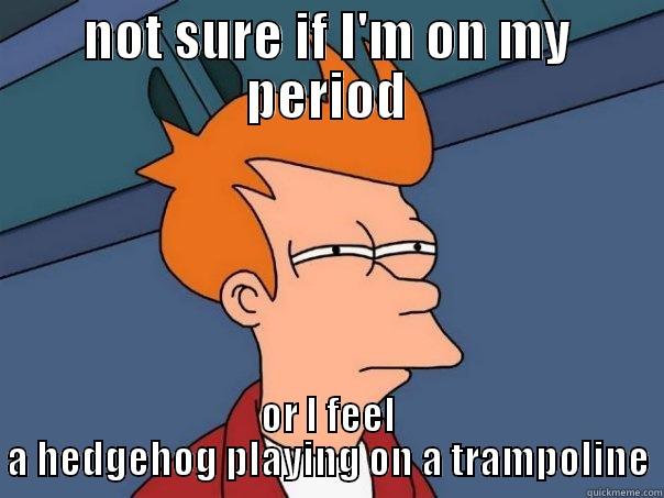 NOT SURE IF I'M ON MY PERIOD OR I FEEL A HEDGEHOG PLAYING ON A TRAMPOLINE Futurama Fry