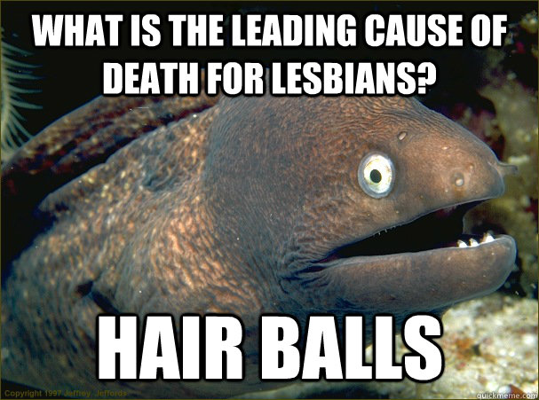 what is the leading cause of death for lesbians? Hair Balls  Bad Joke Eel