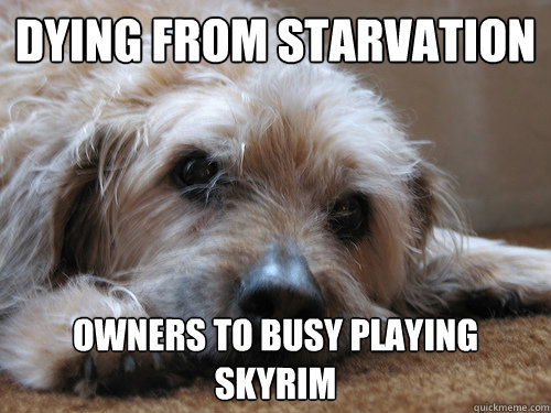 Dying from starvation owners to busy playing Skyrim  skyrim