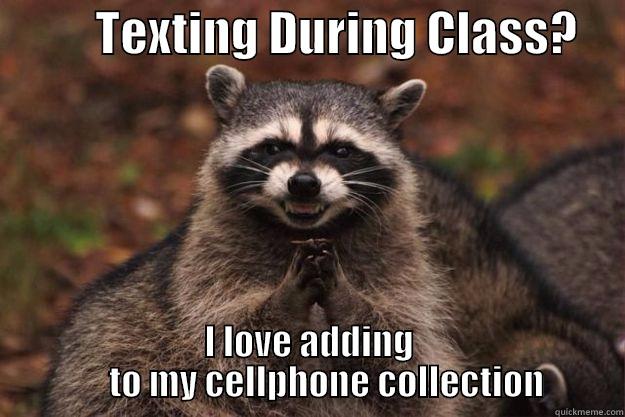 Texting During Class?? -           TEXTING DURING CLASS?         I LOVE ADDING                   TO MY CELLPHONE COLLECTION           Evil Plotting Raccoon