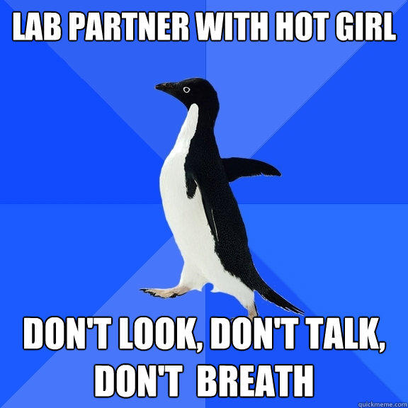 Lab partner with hot girl don't look, don't talk, don't  breath - Lab partner with hot girl don't look, don't talk, don't  breath  Socially Awkward Penguin