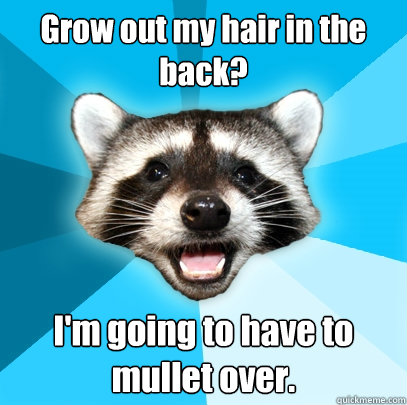 Grow out my hair in the back? I'm going to have to mullet over.  Lame Pun Coon