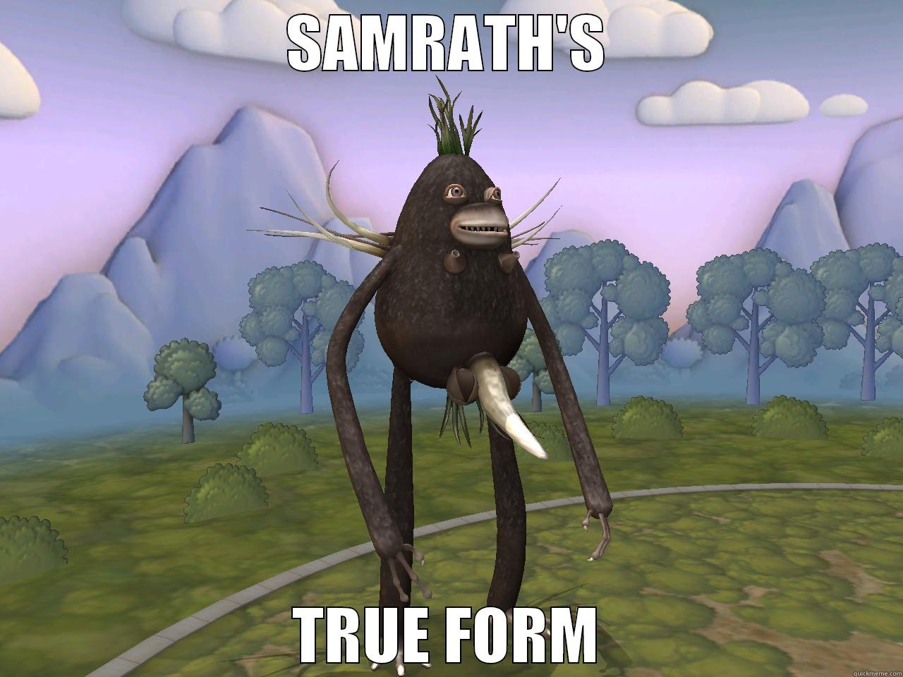 SAMRATH'S TRUE FORM Misc