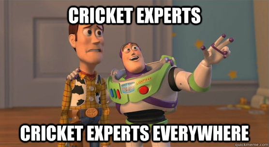 Cricket Experts Cricket Experts everywhere  Toy Story Everywhere