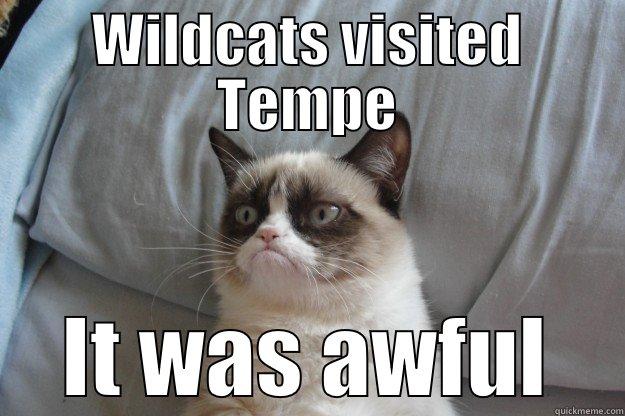 WILDCATS VISITED TEMPE IT WAS AWFUL Grumpy Cat