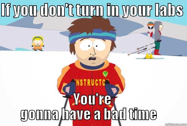 IF YOU DON'T TURN IN YOUR LABS  YOU'RE GONNA HAVE A BAD TIME    Super Cool Ski Instructor