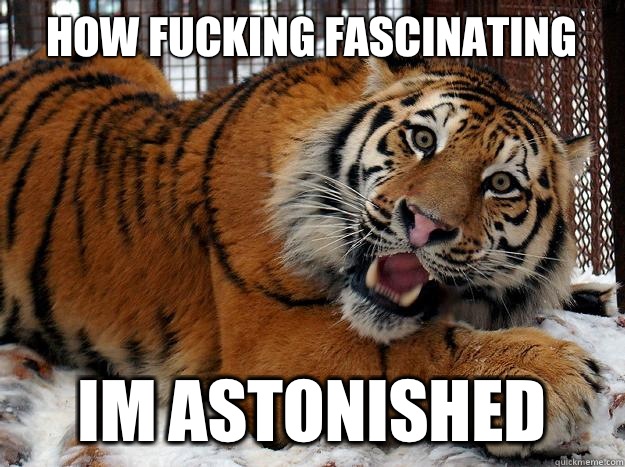  HOW FUCKING FASCINATING   IM ASTONISHED  Fascinated Tiger