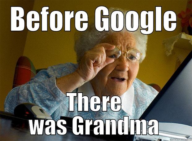 BEFORE GOOGLE THERE WAS GRANDMA Grandma finds the Internet