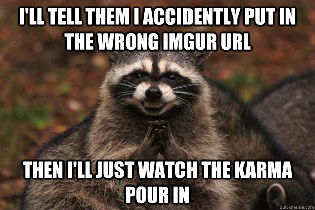 I'll tell them I accidently put in the wrong Imgur URL Then I'll just watch the Karma pour in  Evil Plotting Raccoon