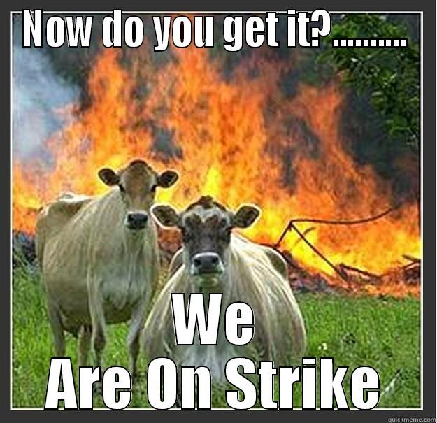 NOW DO YOU GET IT?.......... WE ARE ON STRIKE Evil cows