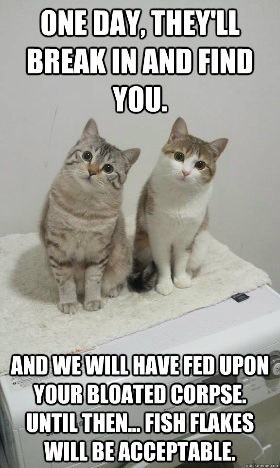 One day, they'll break in and find you. and we will have fed upon your bloated corpse.  UNtil then... fish flakes will be acceptable.  