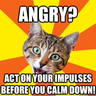 Angry? Act on your impulses before you calm down! - Angry? Act on your impulses before you calm down!  Bad Advice Cat