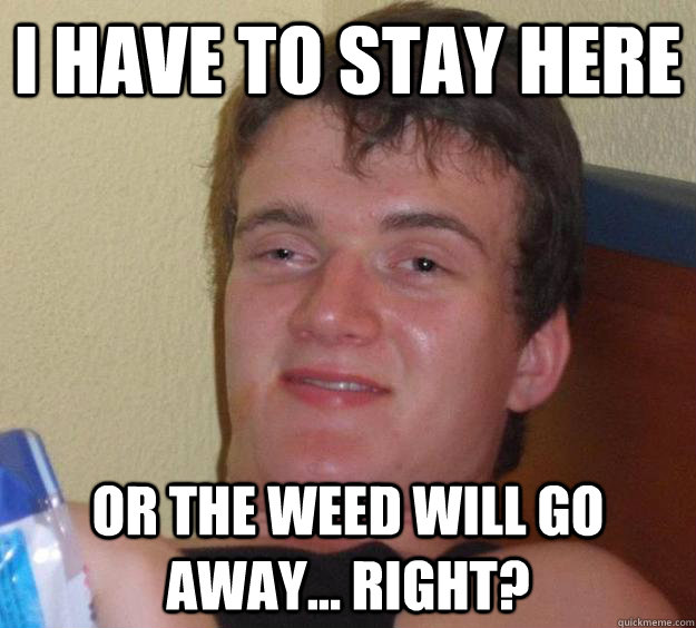 I have to stay here Or the weed will go away... right?  10 Guy