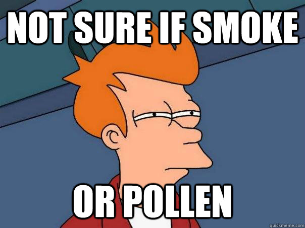 Not sure if smoke or pollen  Futurama Fry