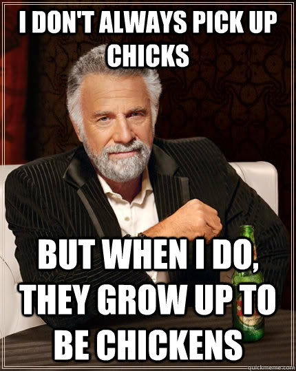 I don't always pick up chicks But when I do, they grow up to be chickens  The Most Interesting Man In The World