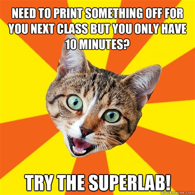 need to print something off for you next class but you only have 10 minutes? try the superlab!  Bad Advice Cat